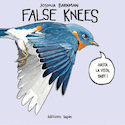 False Knees
